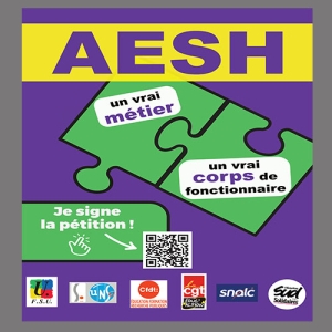 Gagner la création d’un corps de la Fonction publique de catégorie B pour les AESH